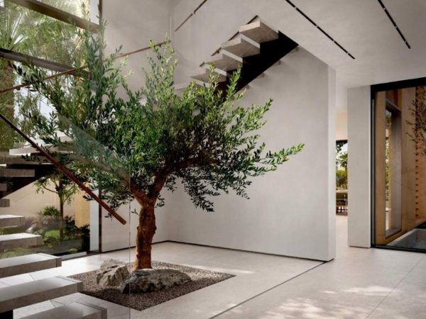 4 Bedroom Villa for Sale in... - picture 5