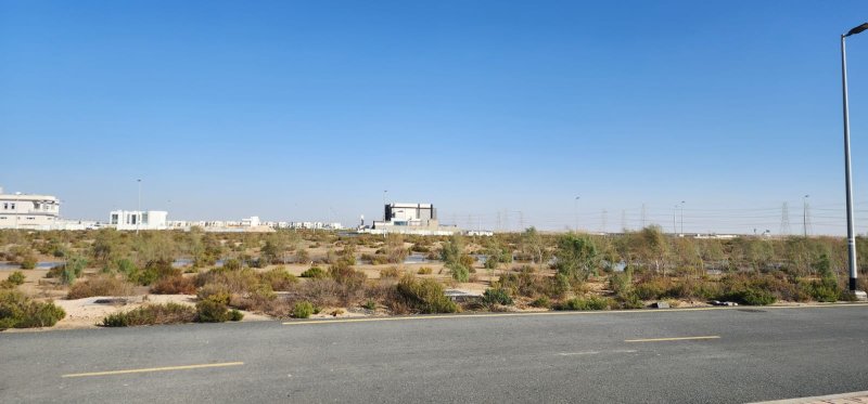 Plot of land Jebel Ali - picture 1