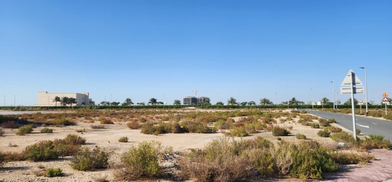Plot of land Jebel Ali - picture 3