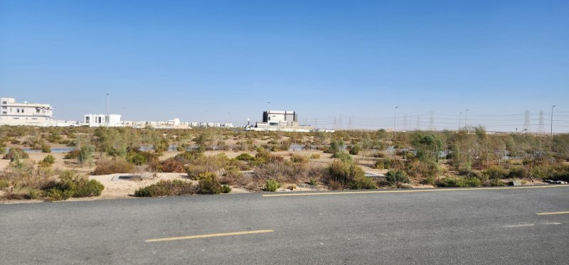 Plot of land Jebel Ali - picture 5